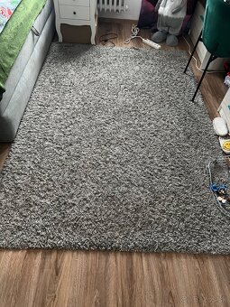 Shaggy koberec - 2