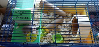 predám klietku pre škrečka - 2