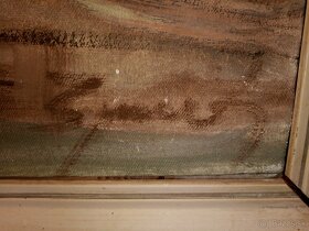 Obraz Chalupy zátišie, autor: Špeník - 2