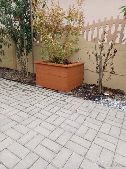 Vyvýšený záhon-vyvýšené záhony - 2