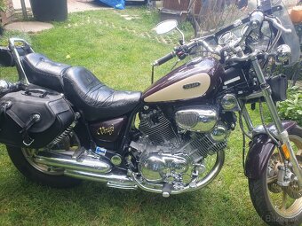 Yamaha Virago700 - 2