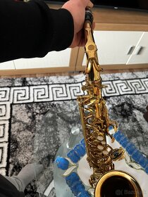 Saxofón Roy Benson AS202 - 2