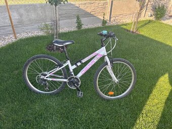 Dema iseo 24 - 2