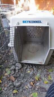 Veĺký prepravný box 50eur/kus/skladací, plastový - 2