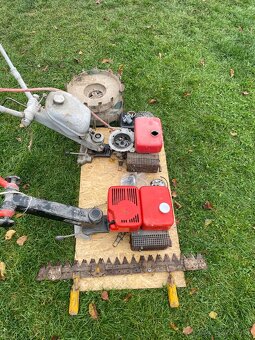 Predám terra vari - 2