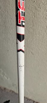 Detsky lyžiarsky set- lyze 110, lyziarky, palice - 2