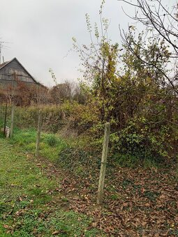 stavebný pozemok v obci Komoča okr.Nové Zámky - 2