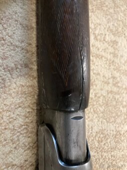 gulobrokova kozlica - 2