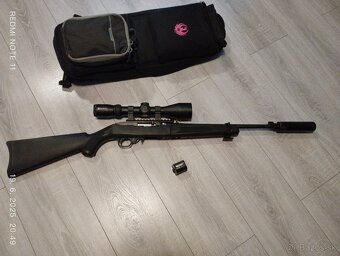 ruger takedown 10/22 - 2