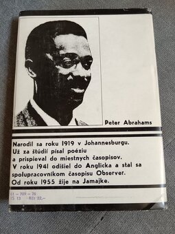 Predám knihu Peter Abrahams, Ich vlastná noc - 2