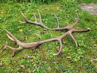 Parozie,parohy,zhody - 2