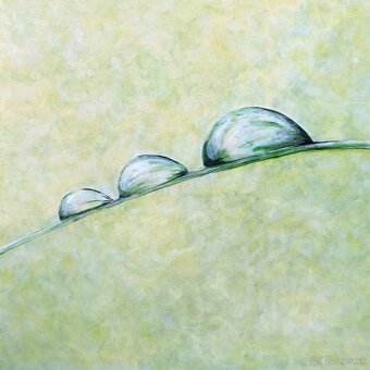 Obraz: Ranná rosa - 2