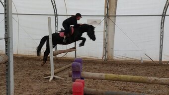 Pony Valach - 2