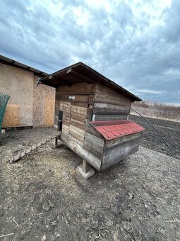 Kurín pre sliepky - 2