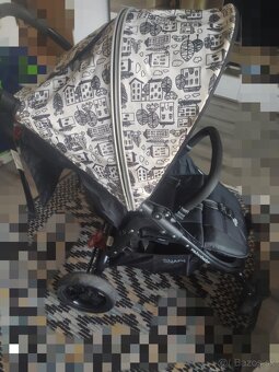 Redam sportovy kociar - 2