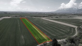 Podhorany – 8.227 m2 ORNÁ PÔDA v podiele 1/1 – Predaj - 2