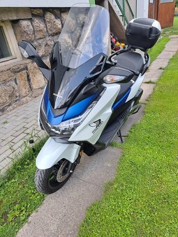 Honda forza 125 - 2