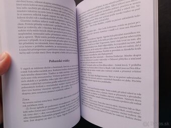 Základní kniha germánského pohanství - 2