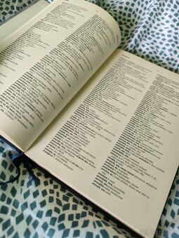 Latinsko-český a česko-latinský slovník - 2