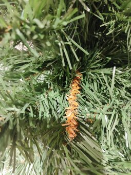 vianočný stromček, vianočné ozdoby, svetielka - 2