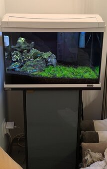 Predám akvarium - 2