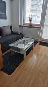 DLHODOBÝ PRENÁJOM / GARSÓNKA / SENICA / - 2