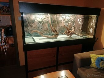 Akvarium - 2