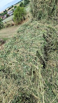 Lucerka - 2