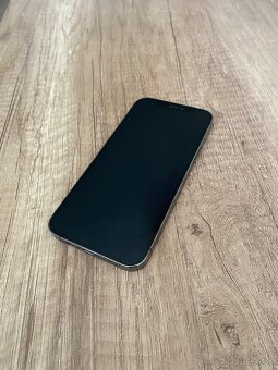 predam iphone 12 pro graphite - 2