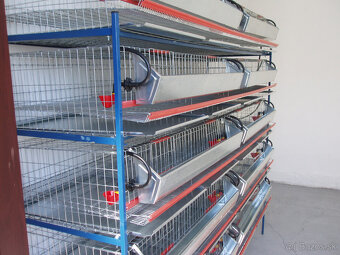 klietky pre prepelice - 2