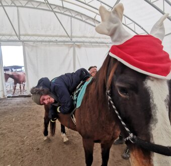 Kobyla appaloosa - 2