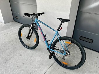 Specialized Rockhopper Comp 29 XL - 2