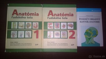 Anatómia ľudského tela a Feneisuv obrazový slovník anatómie - 2