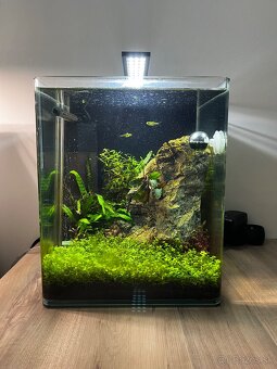 Predám 20l akvárium dennerle komplet ako na fotke - 2