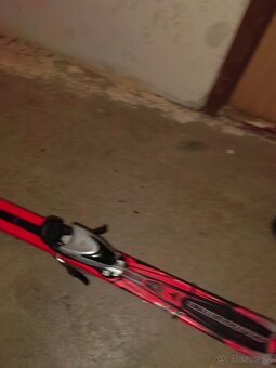 Lyže + lyžiarky - 2