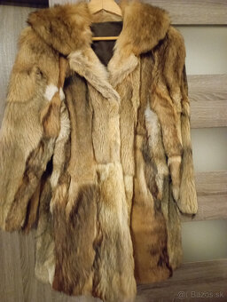 Pravy kozuch - korejsky pes - 2