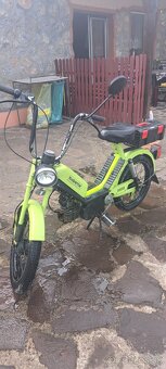 Babetta210 - 2