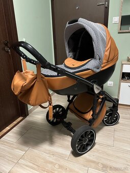 Anex Sport - 2