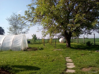 Predám rodinný dom v Čalovci / Violin / Čalovec - 2