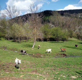 Brigáda v prirode - 2