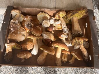 Sušené hríby 0,5 l - 2