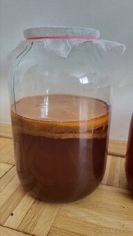 Kombucha - 2