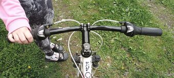 Dema Pegas 1.0 - 2