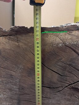 Orechovy kmen drevo - 2