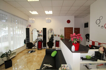 ZARIADENÝ OBCHODNÝ PRIESTOR V BA – PODUNAJSKÉ BISKUPICE - 2