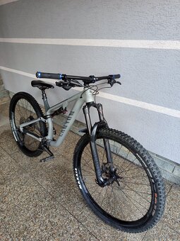 Canyon neuron 6 - 2