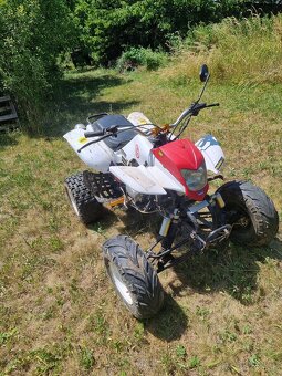 Predam Bashan 250cc - 2