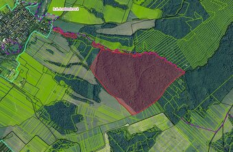 Ladomirová – 6.740 m2 LES NA PREDAJ - 2