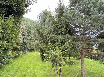 Chata, či rodinný dom, Drienica - 2