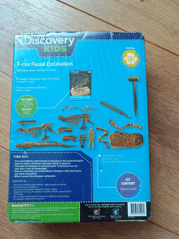 Skamenelina Dinosaurus - 2